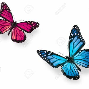 Fundraising Page: Eileen Foley